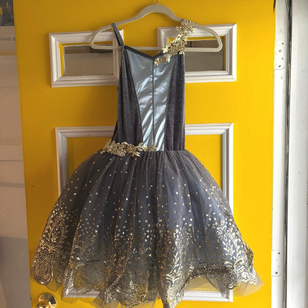 Weissman Dance Costume Tutu Dress Large Child Grey Gold